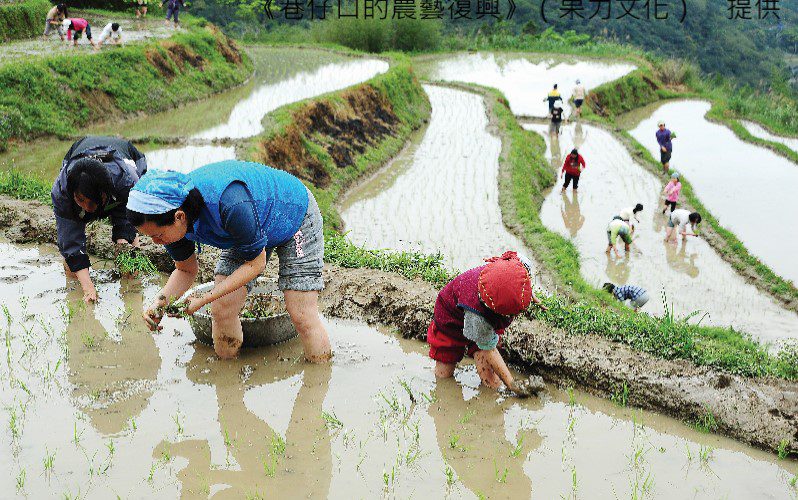 農民是咱的食安守門人　CSA讓消費者更接近土地